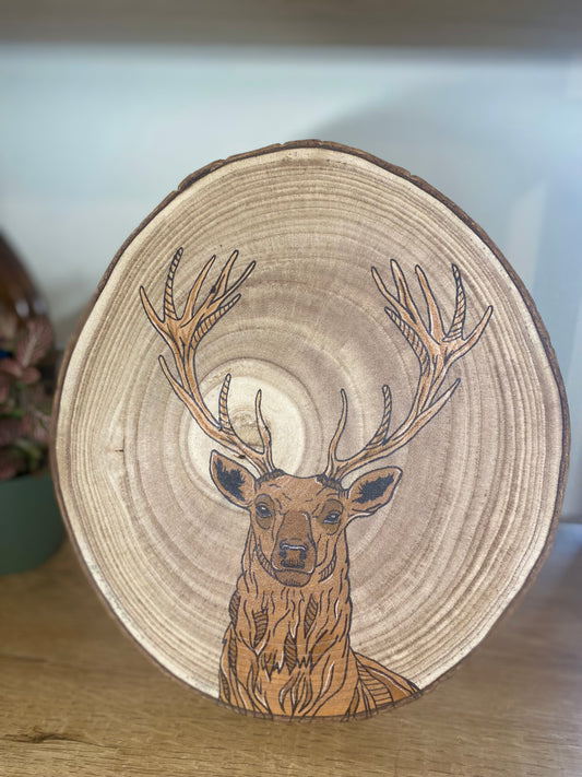 Plateau - Cerf
